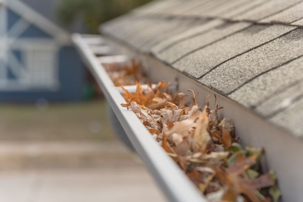 Leaf Barrier Installation in Mount Holly