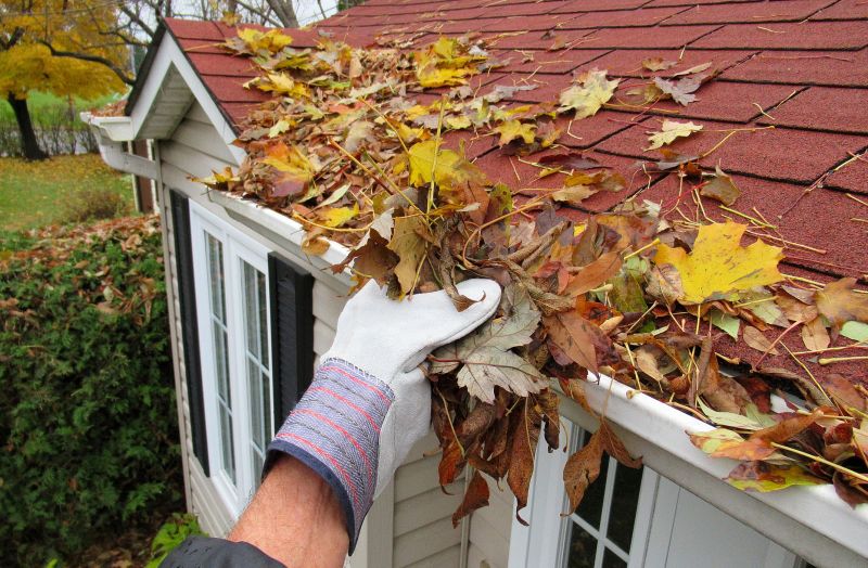 Fall Leaf Protection