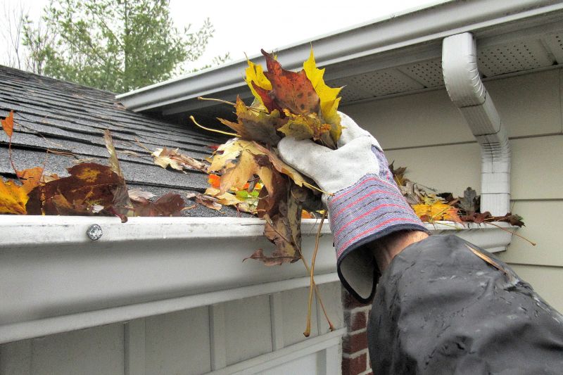 Seasonal Gutter Care Tips