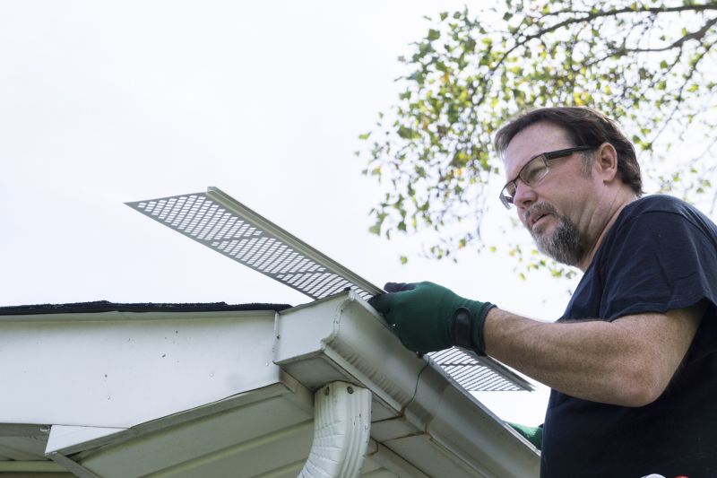 Professional Gutter Cover Assessment